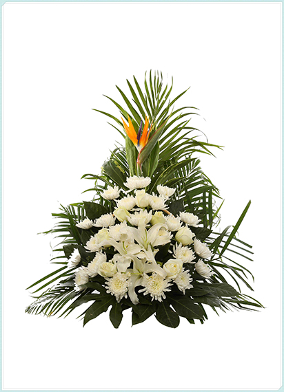 H01台 篮 120元(图1)