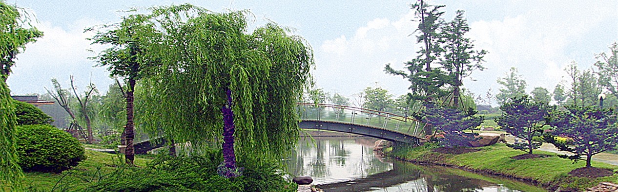 1-210322114RM64.jpg